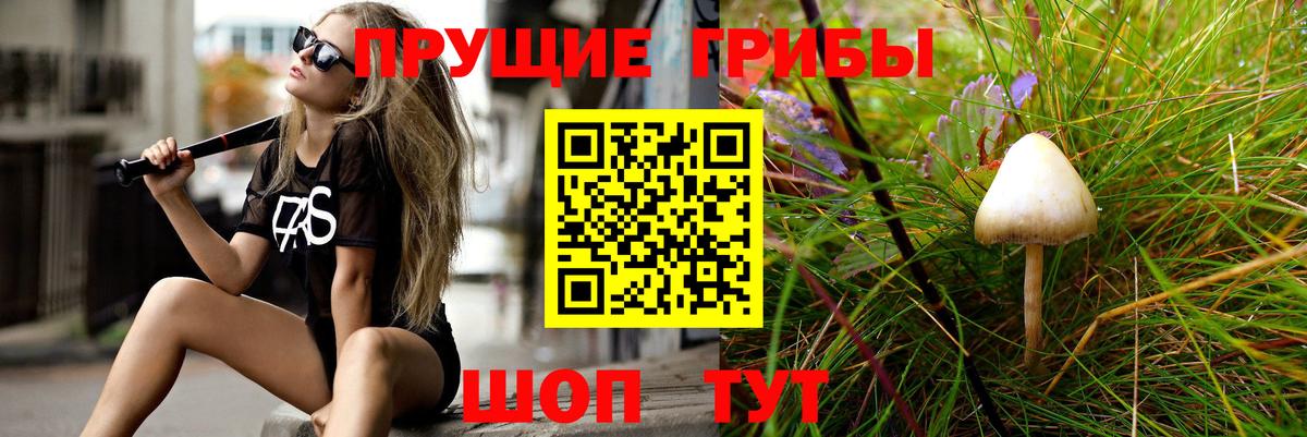 Псилоцибиновые грибы мухоморы  Галлюциногенные грибы Psilocybe  Вход с VPN  где продают   Унеча 